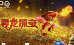 pg赚钱网站免费版